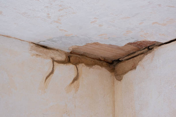 Water damage restoration mold remediation in Liberty Corner, NJ