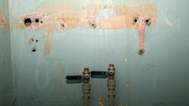  Liberty Corner, NJ Water damage restoration Pros