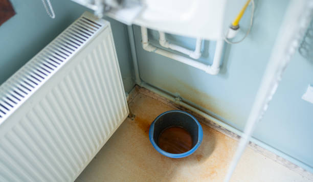 Best Water damage cleanup near me  in Liberty Corner, NJ