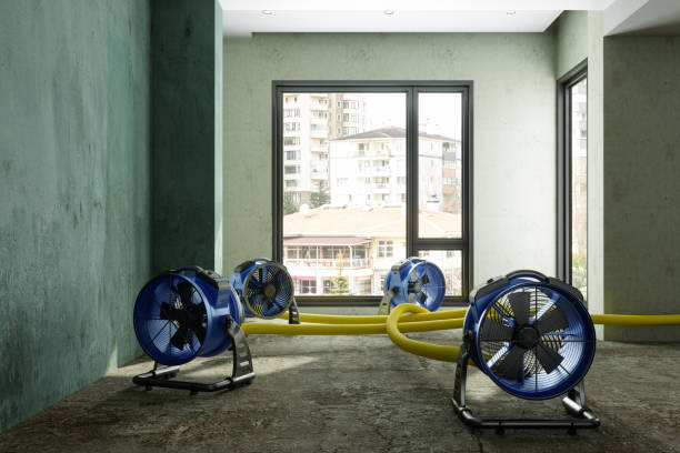 Best 24-hour water damage restoration  in Liberty Corner, NJ