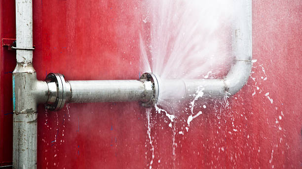 Best Professional water damage repair  in Liberty Corner, NJ